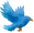 Illustation