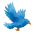 Illustation