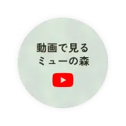 動画で見るミューの森