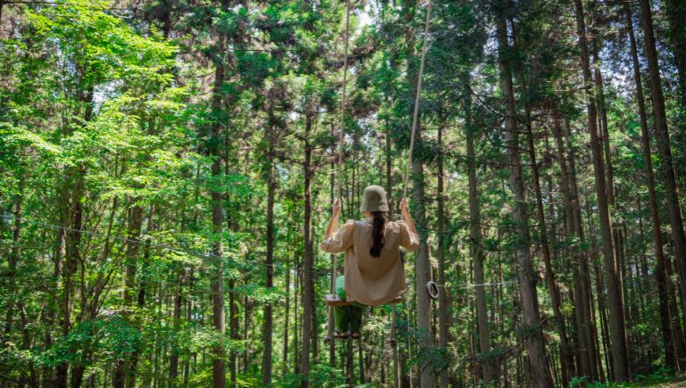 フォレストミステリーアドベンチャーの様子