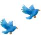 鳥2羽イラスト