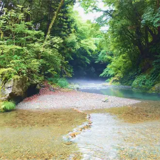 川辺イメージ