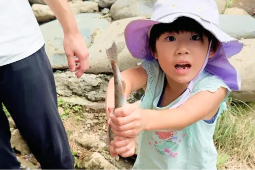 マスのつかみ取り イメージ