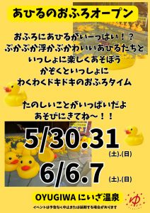 OYUGIWA にいざ温泉で開催されるあひる風呂イベントの概要や開催の説明