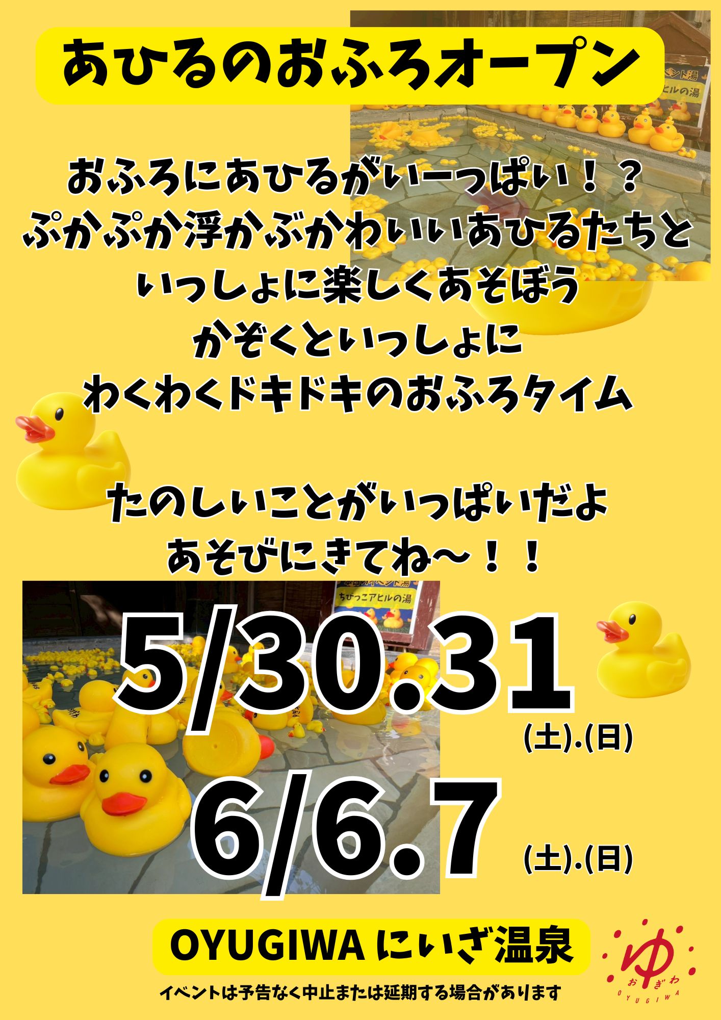 イベント
